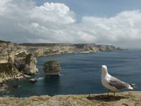 Bonifacio - Blick zum Grain Sable und Capo Pertusato