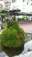 Brunnen am Hafen von Amalfi