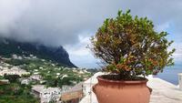 Blick von Capri-Stadt zum Hafen der Insel