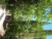 Wanderkreuzfahrt mit der Berlin - Wanderung im Krka-Nationalpark/Kroatien