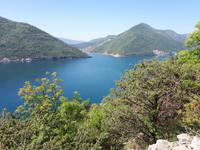 Wanderkreuzfahrt mit der Berlin - Wanderung bei Kotor