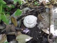 Wanderkreuzfahrt mit der Berlin - Wanderung bei Kotor