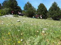 Wanderkreuzfahrt mit der Berlin - Albanien