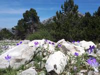 Wanderkreuzfahrt mit der Berlin - Albanien