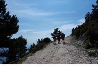 Wanderkreuzfahrt mit der Berlin - Albanien