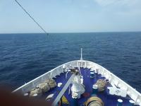 Wanderkreuzfahrt mit der Berlin - Brückenführung