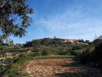 Wanderkreuzfahrt mit der Berlin - Wanderung zu den Dingli-Klippen auf Malta