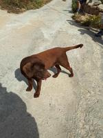 Wanderkreuzfahrt mit der Berlin - Wanderung zu den Dingli-Klippen auf Malta