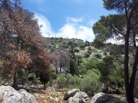 Wanderkreuzfahrt mit der Berlin - Wanderung in Palermo auf den Monte Pellegrino