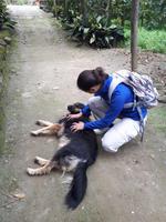 Wanderkreuzfahrt mit der Berlin - Führung in der Zitrusfarm