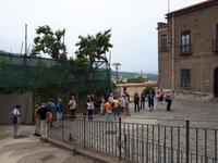 Wanderkreuzfahrt mit der Berlin - Olivenfarm