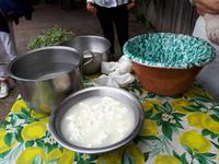 Wanderkreuzfahrt mit der Berlin - Olivenfarm