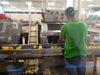 Wanderkreuzfahrt mit der Berlin - Limoncellofabrik