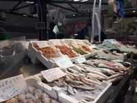 Wanderkreuzfahrt mit der Berlin  - Civitavecchia