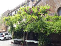 Wanderkreuzfahrt mit der Berlin - Tuscania