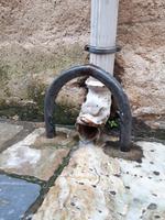 Wanderkreuzfahrt mit der Berlin - Bastia/Korsika