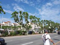 Wanderkreuzfahrt mit der Berlin - Nizza/Frankreich