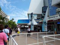 Wanderkreuzfahrt mit der Berlin - Cannes/Frankreich