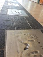 Wanderkreuzfahrt mit der Berlin - Cannes/Frankreich