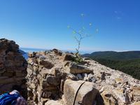 Italien, Elba, Wanderung San Martino