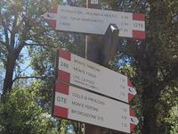 Italien, Elba, Wanderung San Martino