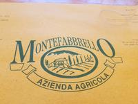 Italien, Elba, Azienda Agricola Montefabbrello