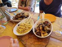 Italien, Elba, Azienda Agricola Montefabbrello