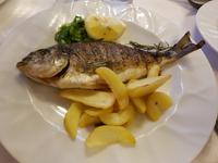 Italien, Elba, Hotel Danila