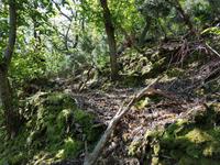 Italien, Elba, Wanderung Monte Capanne
