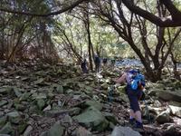 Italien, Elba, Wanderung Monte Capanne
