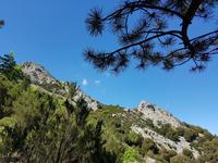 Italien, Elba, Wanderung Monte Capanne