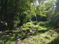 Italien, Elba, Wanderung Monte Capanne, Abstieg