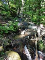 Italien, Elba, Wanderung Monte Capanne, Abstieg