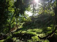 Italien, Elba, Wanderung Monte Capanne, Abstieg