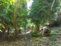 Italien, Elba, Wanderung Monte Capanne, Abstieg