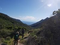 Italien, Elba, Wanderung Monte Capanne, Abstieg