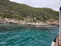 Italien, Elba, Porto Azzurro, Mövenküste