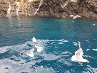 Italien, Elba, Porto Azzurro, Mövenküste