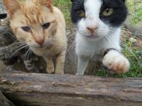 Italien, Argentario, Wanderung