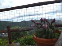 Italien, Argentario, Wanderung