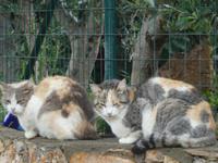 Italien, Argentario, Wanderung