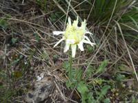 Italien, Argentario, Wanderung