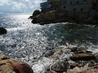 Italien, Giglio, Fischbecken