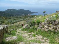 Italien, Giglio, Weg nach Campese