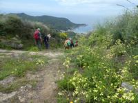 Italien, Giglio, Weg nach Campese