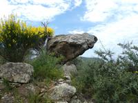 Italien, Giglio, Weg nach Campese