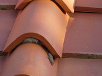 Italien, Elba, Hotel Danila