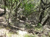 Italien, Elba, Wanderung San Martino