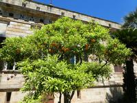 Italien, Elba, Villa San Martino