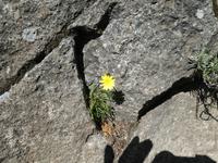 Italien, Elba, Wanderung Monte Capanne